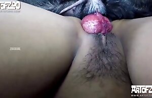 Tình dục với chó chỉ là điều tuyệt vời nhất